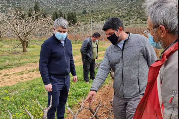 Οδυσσέας: &quot;Όλοι όσοι έπαθαν ζημιά πρέπει να τύχουν ίσης μεταχείρισης και να αποζημιωθούν από τον ΕΛΓΑ&quot;