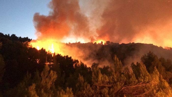 Πολύ υψηλός κίνδυνος πυρκαγιάς (κατηγορία 4) στη Γορτυνία για την Δευτέρα (22 Ιουλίου 2024)