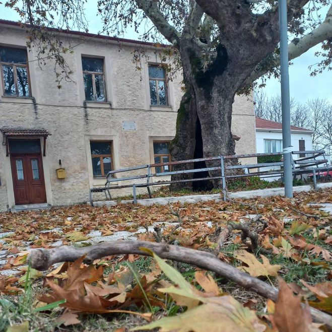 Κεράσματα από μήλο ετοιμάζουν στο χωριό Στρίγκου Τεγέας!