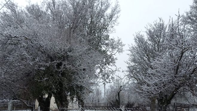 Χιονισμένη καλημέρα από τα Πελετά Κυνουρίας! (vd)