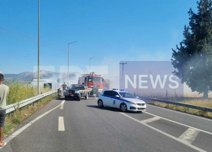 Πυρκαγιά στο 6ο χλμ. Τρίπολης – Σπάρτης (παλαιά εθνική οδό)