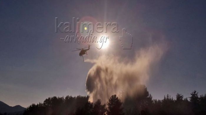 Έσβησε άμεσα η φωτιά στα Κυπαρίσσια Μεγαλόπολης