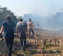 Μπαράζ πυρκαγιών σήμερα στην Αργολίδα!