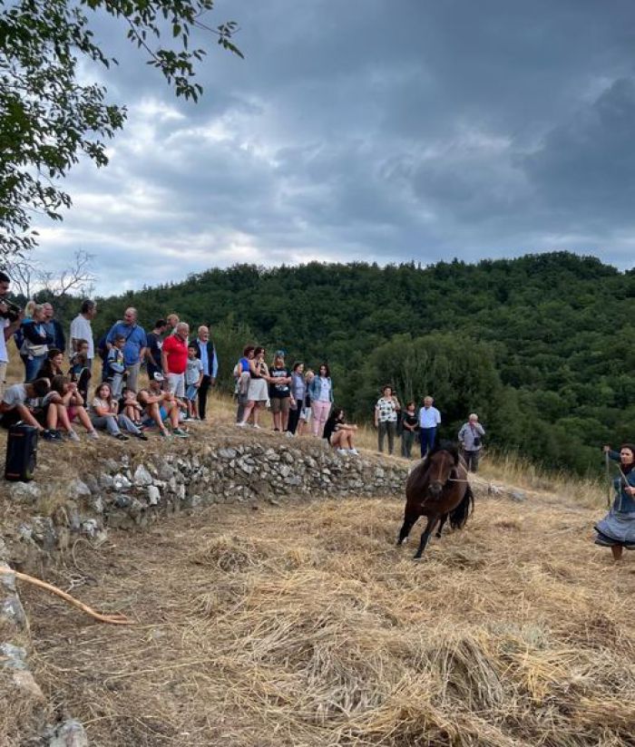 Παραδοσιακό Αλώνισμα στο Δυρράχι Μεγαλόπολης! (εικόνες)