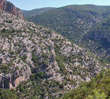 Μεγάλη αστυνομική επιχείρηση για τον εντοπισμό Αλβανού δραπέτη στον Πάρνωνα!