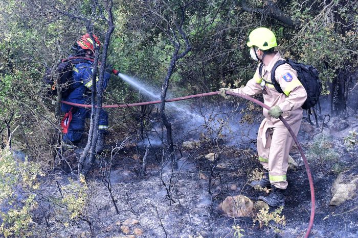 Σύλλογος Χρυσοβιτσιωτών μετά τη φωτιά στο Μαίναλο: &quot;Μην τους αφήσετε να κάψουν το στολίδι μας&quot;