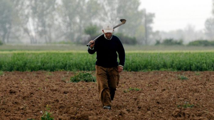 Κωνσταντινόπουλος: &quot;Αγρότες και κτηνοτρόφοι σε απόγνωση, δεν βρίσκουν εργάτες&quot;