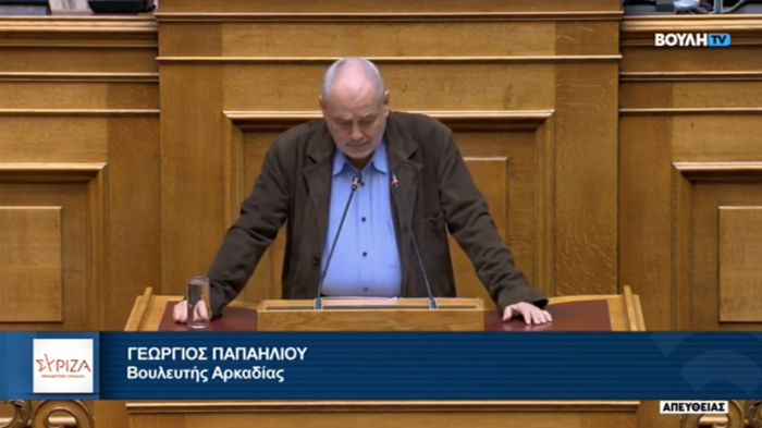 Παπαηλιού: &quot;Το «Ελληνικό Κτηματολόγιο» είναι υποστελεχωμένο&#039;&#039;