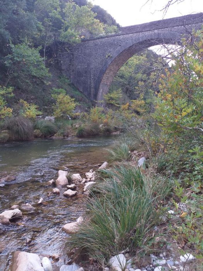 &quot;Αξίζει να προστατεύσουμε τον Ερύμανθο, ας κινητοποιηθούμε&quot;