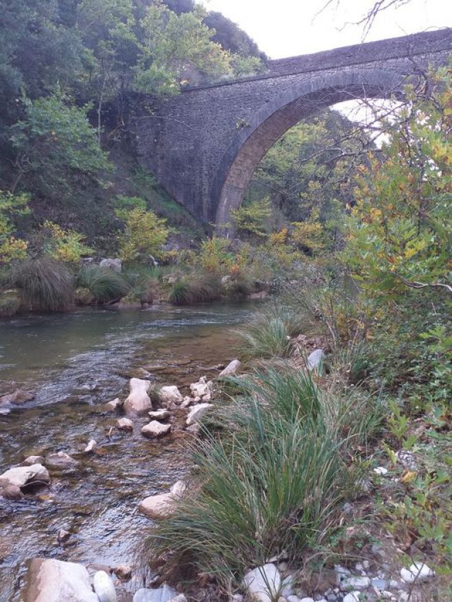 &quot;Αξίζει να προστατεύσουμε τον Ερύμανθο, ας κινητοποιηθούμε&quot;