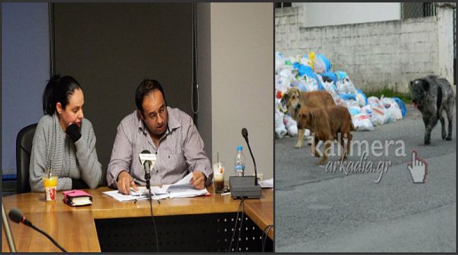 Προτάσεις για τη διαχείριση των αδέσποτων ζώων στο Δήμο Τρίπολης