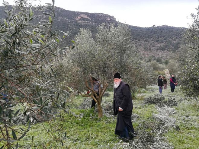 Πρώτος στο κλάδεμα του Ἐλαιώνα της Εκκλησίας στο Λεωνίδιο ο Μητροπολίτης Αλέξανδρος! (εικόνες)