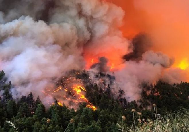 Πολύ υψηλός κίνδυνος πυρκαγιών στον Δήμο Τρίπολης | Που απαγορεύεται η κυκλοφορία και οι εκδηλώσεις! (18/7/2024)