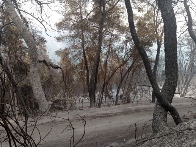 Στη Βόρεια Κυνουρία συνεχίζουν να συγκεντρώνουν είδη πρώτης ανάγκης για τις πυρόπληκτες περιοχές