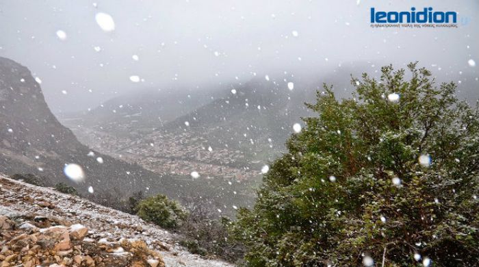 Συμβαίνει τώρα: Χιονίζει μέσα στο Λεωνίδιο! (vd)