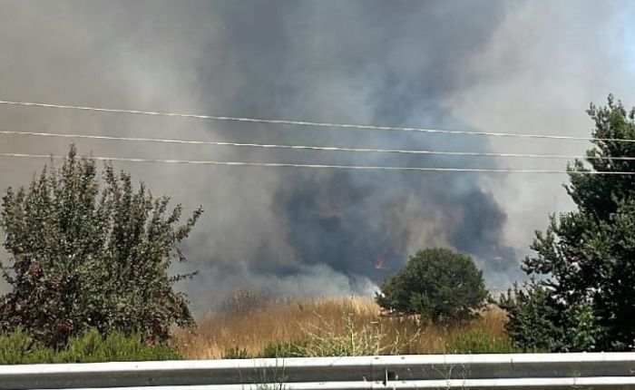 ΣΕΒΙΠΕΤ | Ευχαριστίες σε πυροσβεστική, αστυνομία και δήμο για την άμεση κατάσβεση της φωτιάς στη ΒΙΠΕ