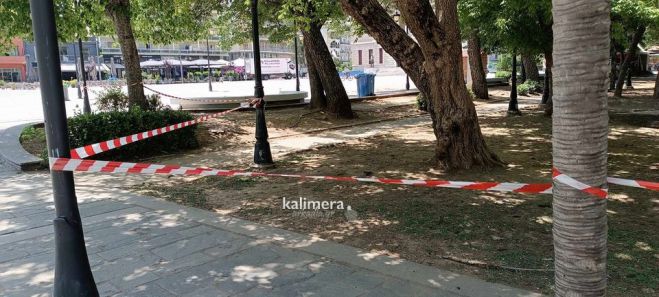 Τρίπολη | Προειδοποιητικές κορδέλες στα πάρκα - Δυνατοί άνεμοι μεγαλώνουν τον κίνδυνο για πτώση δένδρων!
