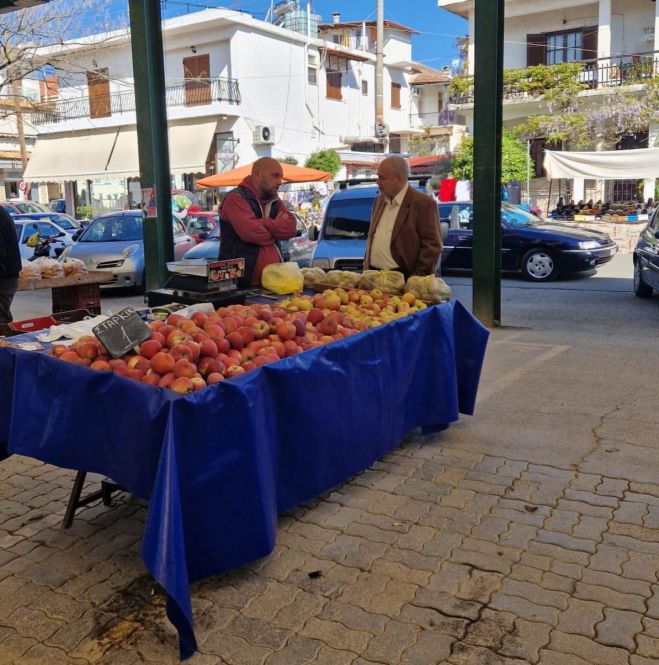 Παπαηλιού: "Θέσεις εργασίας για τους νέους της Μεγαλόπολης, για να μην εγκαταλείπουν την περιοχή"