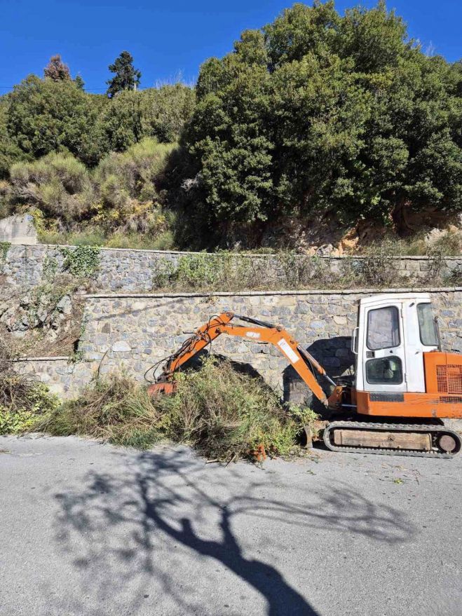 Καθαρίστηκαν δρόμοι στη Στεμνίτσα (εικόνες)