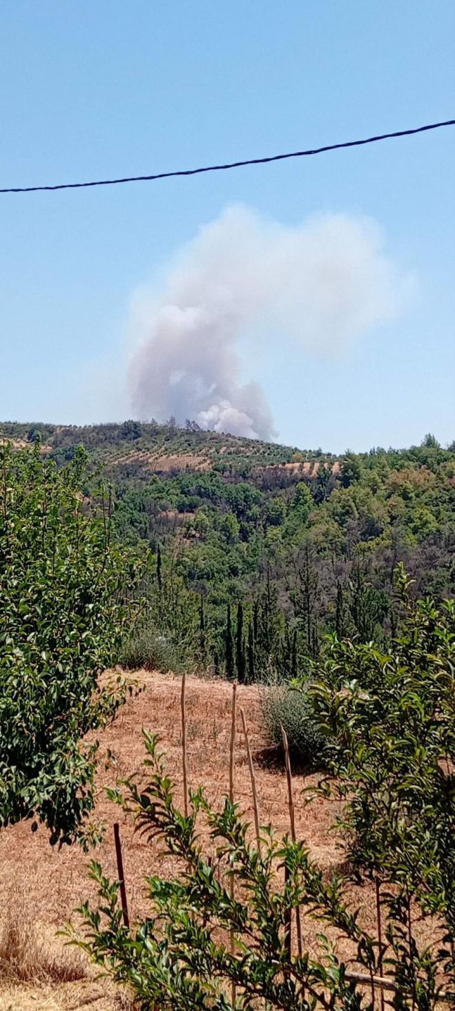 Μήνυμα 112 σε κατοίκους Γορτυνίας για την πυρκαγιά στην Ηραία