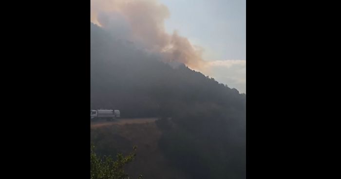 Σε ύφεση η πυρκαγιά στη Μελιγού - Εντολή του Αρχηγού της Πυροσβεστικής να έρθει κλιμάκιο και να ψάξει τα αίτια της φωτιάς! (vd)