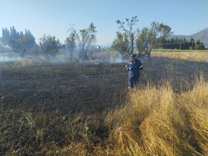 Σβήστηκε άμεσα η φωτιά στο χωριό Άγιος Βασίλης, κοντά στην Τρίπολη (εικόνες)