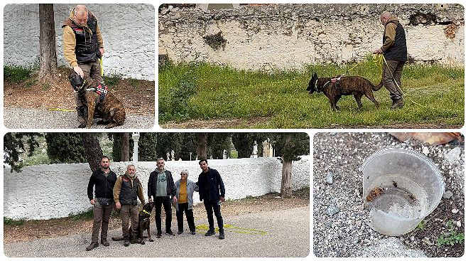 Φόλες στο Λεωνίδιο | Οργή στην περιοχή για τις δηλητηριάσεις - Κυνηγετική Ομοσπονδία και εκπαιδευμένο σκυλί κάνουν έρευνα στην περιοχή (vd)