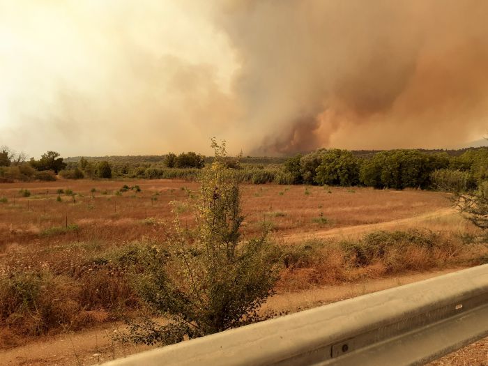 Οι Γορτύνιοι δεν είναι επαίτες ... είναι νοικοκυραίοι και θέλουν τη ζωή και την αξιοπρέπειά τους πίσω!