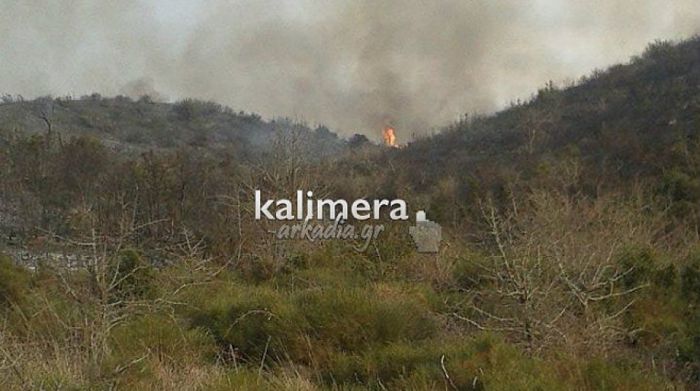 Υπό έλεγχο η πυρκαγιά στον Πάρνωνα