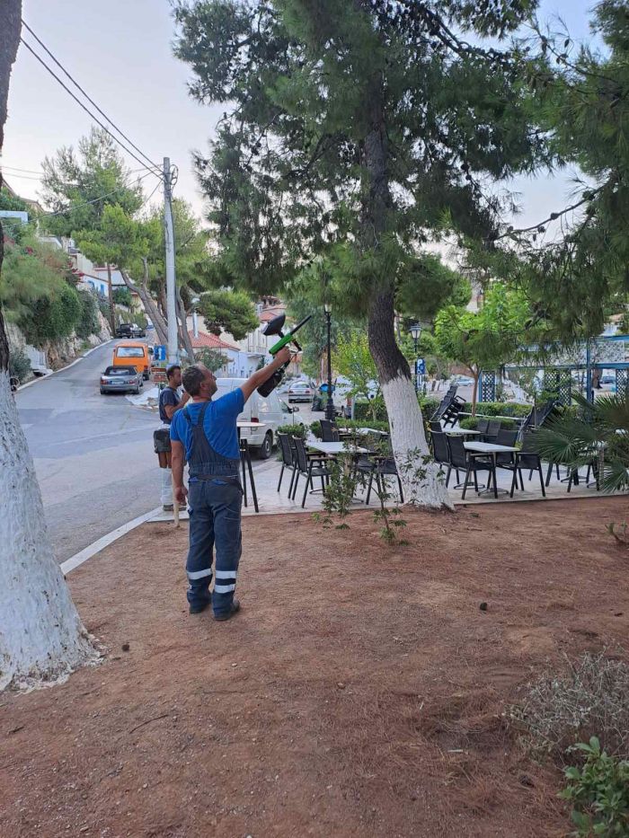 Παράλιο Άστρος | Καταπολέμηση της κάμπιας των πεύκων με τη χρήση pine t pro ball με σφαιρίδια