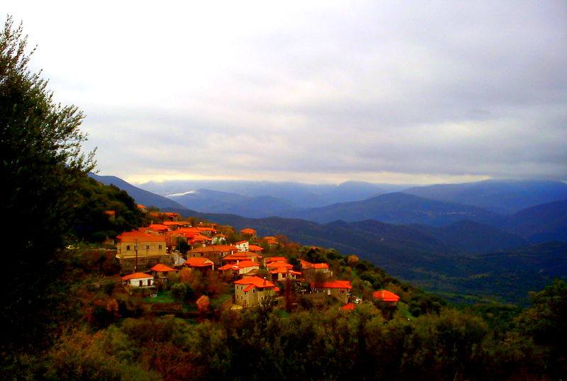 Κοπή πίτας και εκλογές στο Σύνδεσμο Παναγιωτών Γορτυνίας