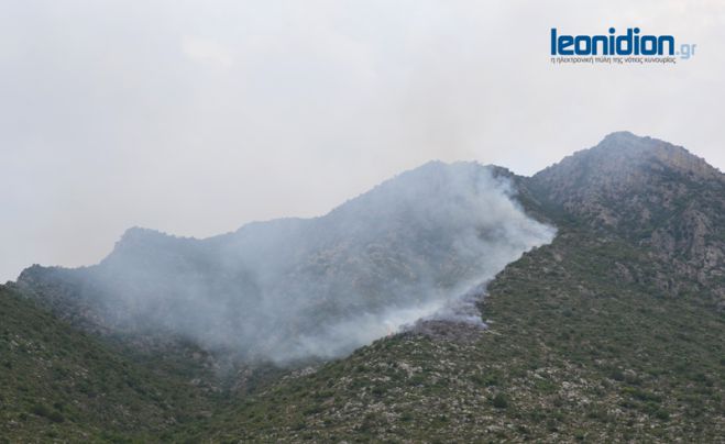 Δείτε εικόνες από τη φωτιά στα Πούλιθρα Κυνουρίας