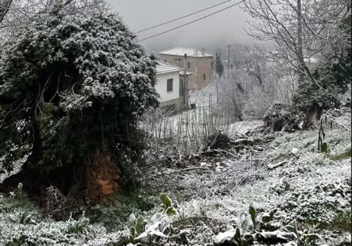 Χιόνι και στον Άγιο Πέτρο Κυνουρίας!