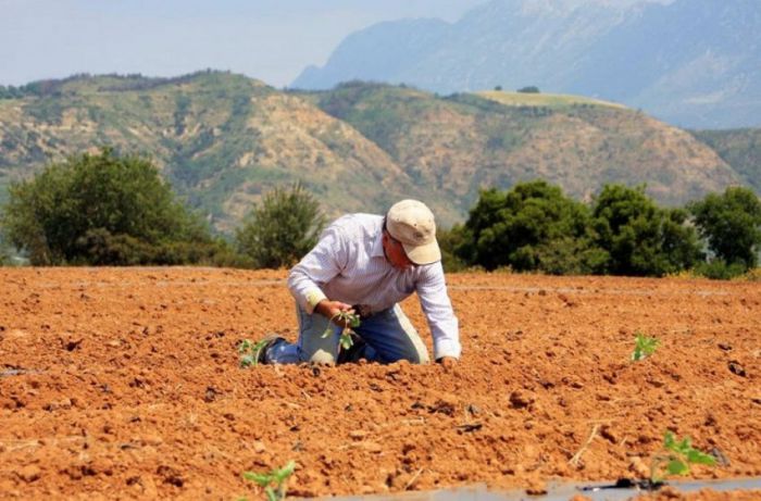 Αυτή είναι η Αρκαδία του 2030;