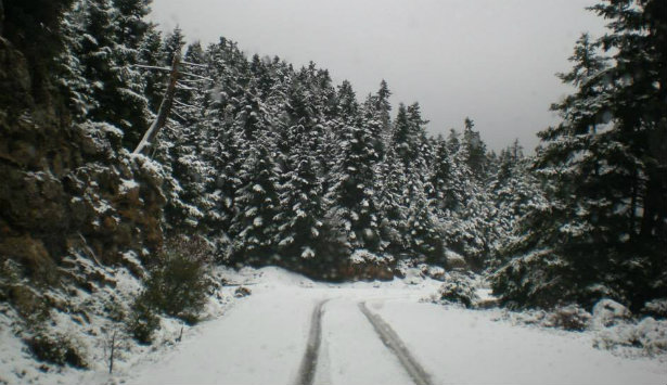 Μοναδικές φωτογραφίες από τον χιονισμένο Κοσμά στην Κυνουρία!
