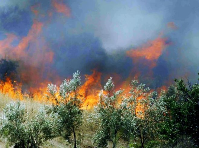 Οι προηγούμενες καταστροφικές πυρκαγιές στη Γορτυνία δεν έγιναν μάθημα