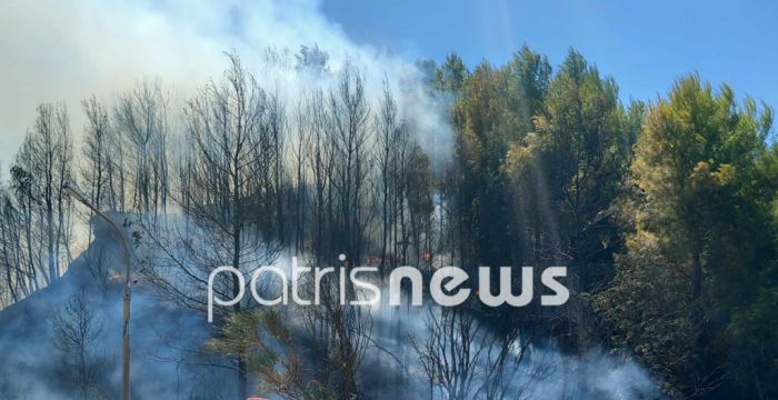 Σε εξέλιξη πυρκαγιά στην Αρχαία Ολυμπία (εικόνες - βίντεο)