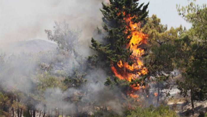 Καίγονται σπίτια στη Λακωνία - Εκκενώθηκαν χωριά (vd)