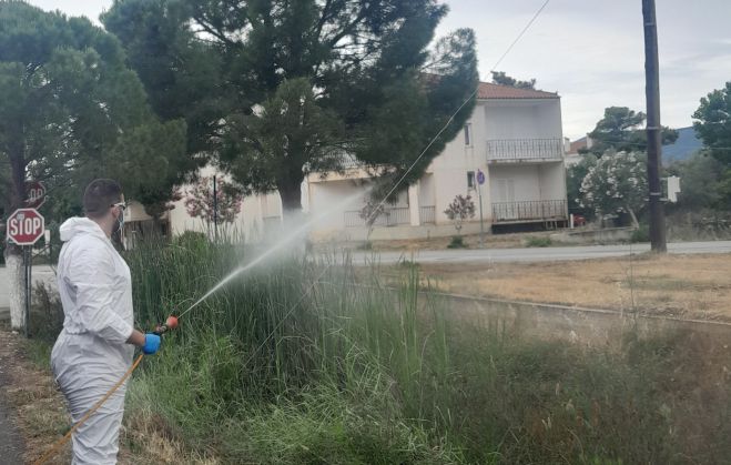 Ψεκάζουν για τα κουνούπια στη Βόρεια Κυνουρία (εικόνες)