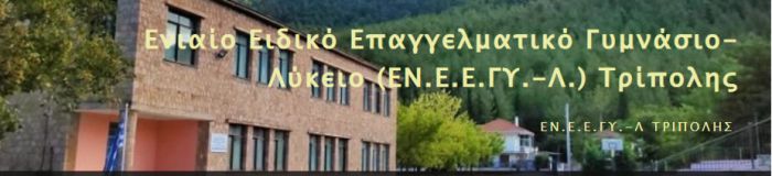 Ολοκλήρωση Ευρωπαϊκού Προγράμματος E-Twinning από το EN.E.E..ΓΥ.-Λ Τρίπολης