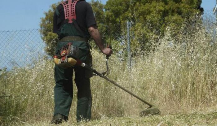 Κοπή κλαδιών και καθαρισμός δρόμων και μονοπατιών στις Δημοτικές Ενότητες  Βυτίνας, Δημητσάνας, Ηραίας και Τρικολώνων