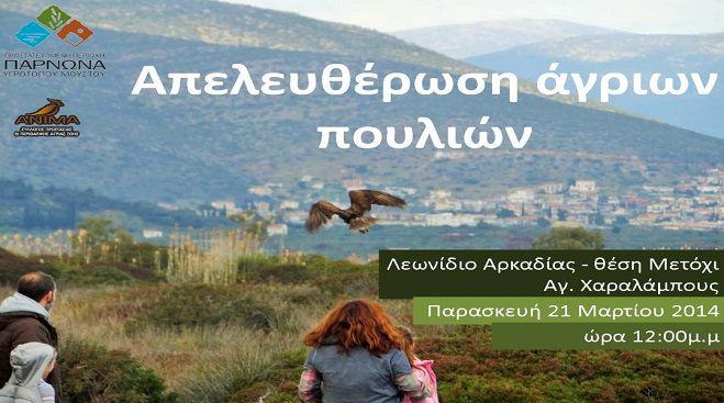 Απελευθέρωση άγριων πουλιών στο Λεωνίδιο