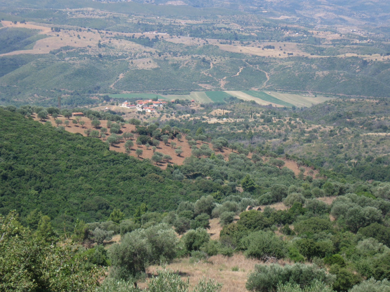 Κόβει την πίτα του ο Σύλλογος των απανταχού Ριζοσπηλιωτών Γορτυνίας