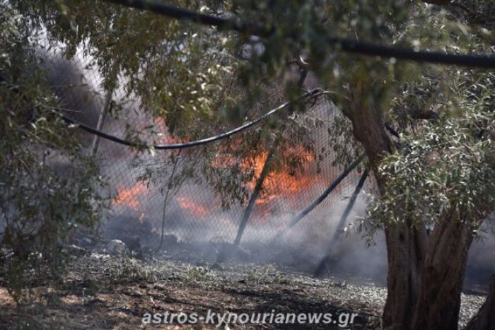 Υπό έλεγχο η φωτιά στη μονάδα διαχείρισης απορριμμάτων στο Άστρος - Αποπνικτική η ατμόσφαιρα στην περιοχή (vd)