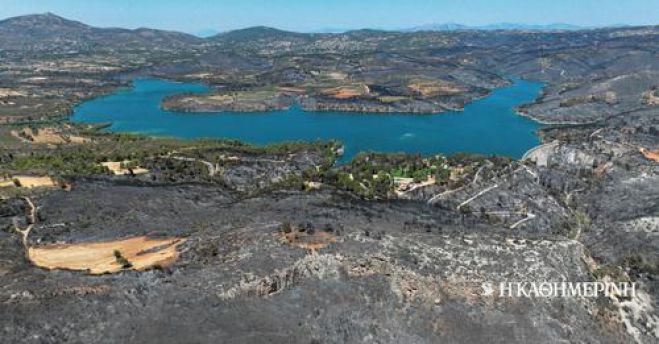 Η Αττική έχασε το 1/3 των δασών της την τελευταία οκταετία