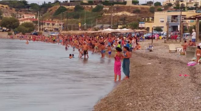 Πανικός σε παραλία της Κορινθίας από την εμφάνιση ... καρχαρία! (vd)