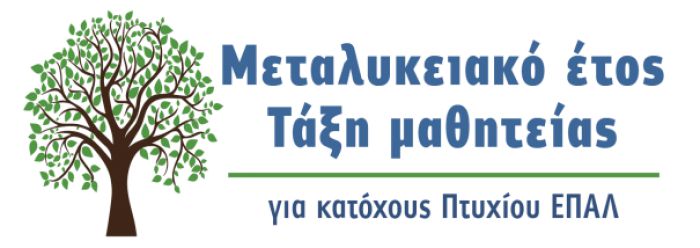 Παράταση προσφοράς θέσεων μαθητείας από τον ιδιωτικό τομέα για το «Μεταλυκειακό Έτος-Τάξη Μαθητείας» 2024-2025