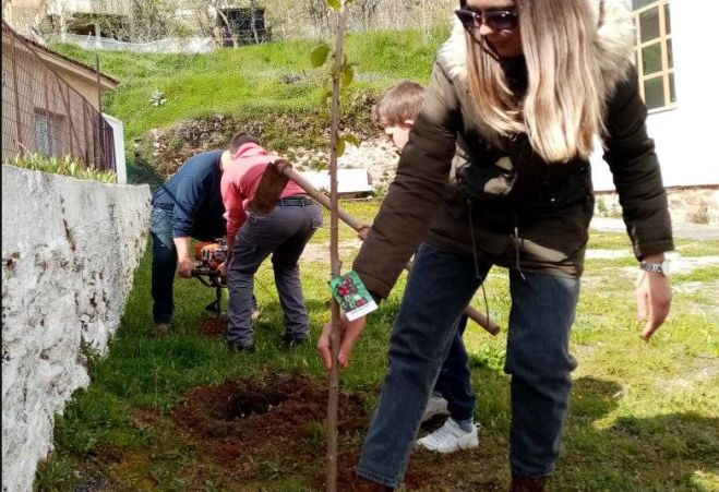 Άγιος Πέτρος Κυνουρίας | 57 δενδρύλλια φυτεύτηκαν στη μνήμη των νεκρών στα Τέμπη (εικόνες)