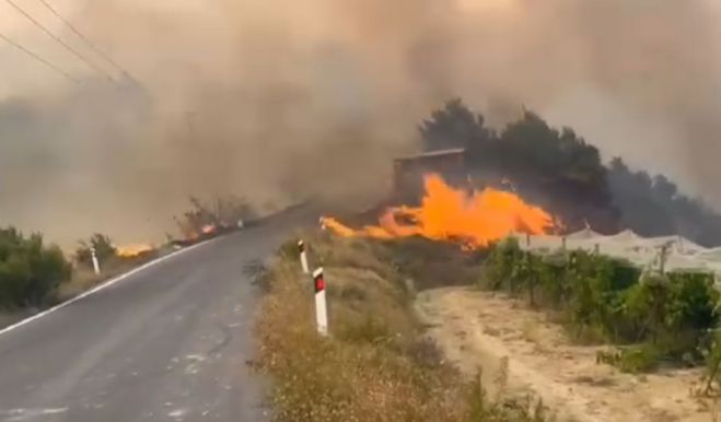 Φωτιά στη Στιμάγκα Κορινθίας | 37 μήνες φυλακή για τον έναν από τους δύο εμπρησμούς που ομολόγησε 72χρονος