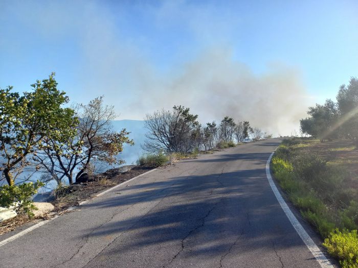 Φωτιά στην Μεγαλόπολη | Προσωρινή διακοπή κυκλοφορίας στον Κόμβο &quot;Λεύκτρου - Σπάρτης&quot;